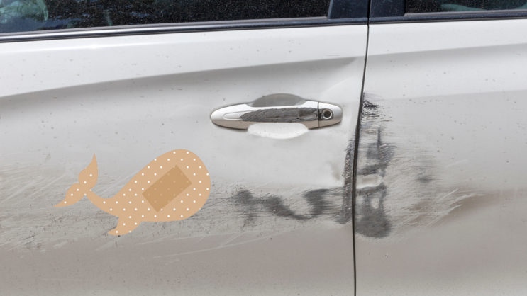 Whale Band Aid Bandage Sticker on a Scratched Car example
