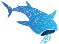 Whale Shark Eating Fish Sticker