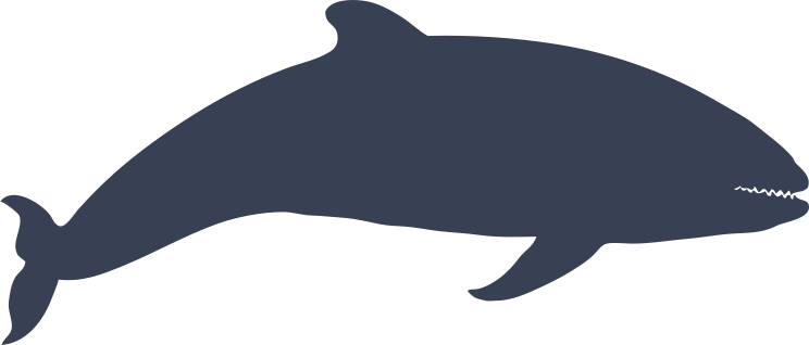Whale Smiling Sticker