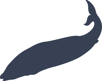 Whale Sticker