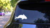 Whale Swimming To The Right Sticker on a Rear Car Window (New) example