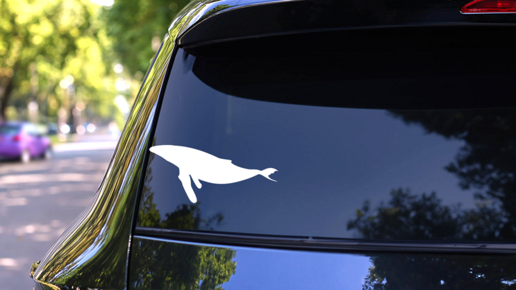 Whale With Long Fins Sticker on a Rear Car Window (New) example