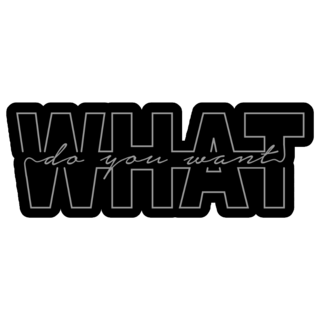 What Do You Want Fashion Sticker