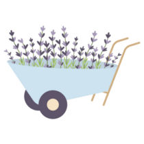 Wheelbarrow Lavender Sticker
