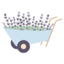 Wheelbarrow Lavender Sticker