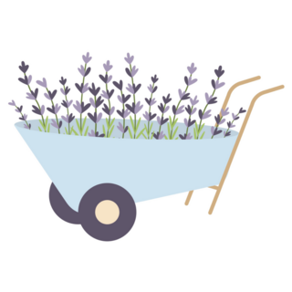 Wheelbarrow Lavender Sticker