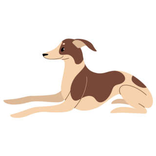 Whippet Cartoon Sticker