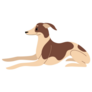Whippet Cartoon Sticker