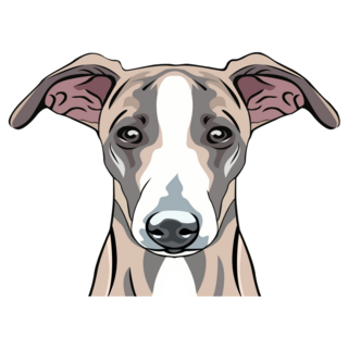 Whippet Dog Face Sticker
