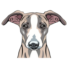 Whippet Dog Face Sticker