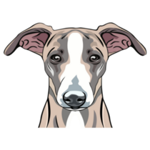 Whippet Dog Face Sticker