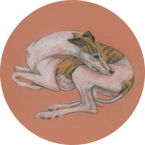Whippet Drawing Sticker