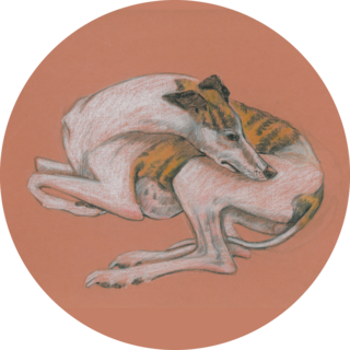 Whippet Drawing Sticker