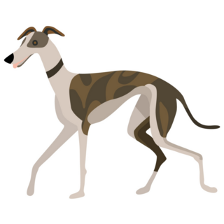 Whippet Drawn Sticker