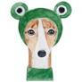 Whippet Frog Hat Sticker