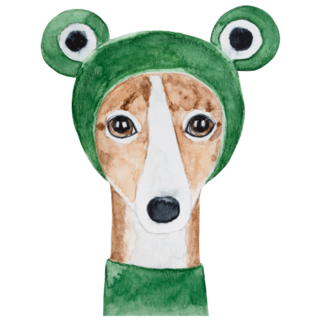Whippet Frog Hat Sticker