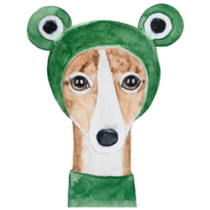 Whippet Frog Hat Sticker