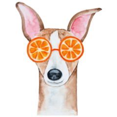 Whippet In Oranges Sticker 
