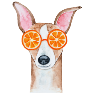 Whippet In Oranges Sticker 