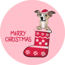 Whippet In Stocking Sticker