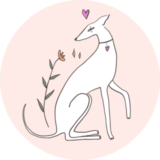 Whippet Lovely Sticker