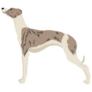 Whippet Pose Sticker