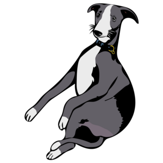 Whippet Position Sticker