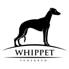Whippet Purebred Sticker