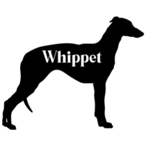 Whippet Silhouette Sticker