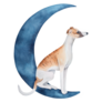 Whippet Sitting Moon Sticker