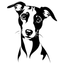 Whippet Stare Sticker