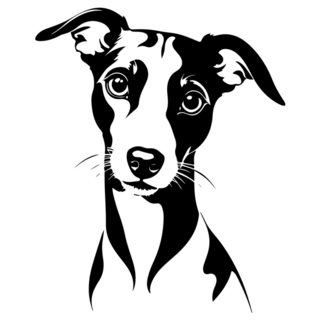 Whippet Stare Sticker