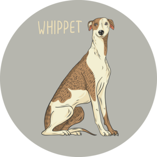 Whippet Title Sticker