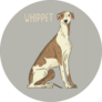 Whippet Title Sticker