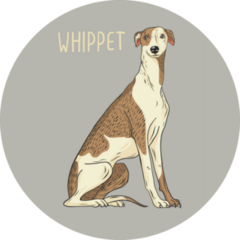 Whippet Title Sticker