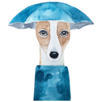 Whippet Umbrella Sticker