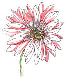 White and Pink Daisy Sticker