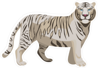 White Bengal Tiger Sticker