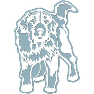 White Bernese Mountain Sticker