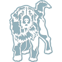 White Bernese Mountain Sticker
