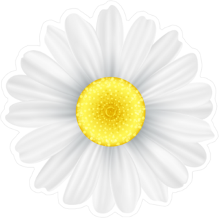 White Chamomile Flower Sticker