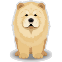 White Chow Chow Sticker