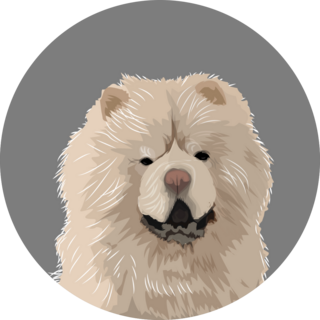 White Chow Puppy Sticker