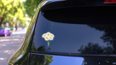 White Daisy Flower Bouquet Sticker on a Rear Car Window (New) example