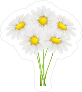 White Daisy Flower Bouquet Sticker
