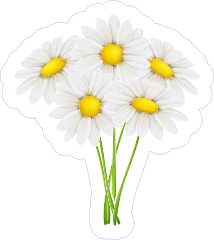 White Daisy Flower Bouquet Sticker