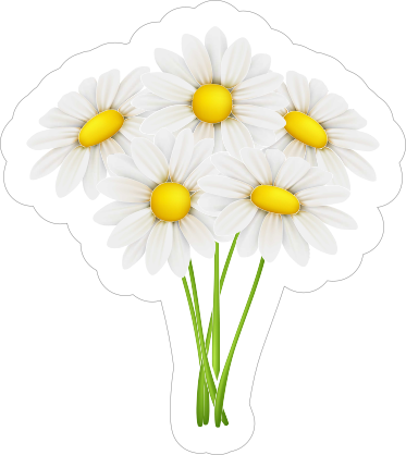 White Daisy Flower Bouquet Sticker