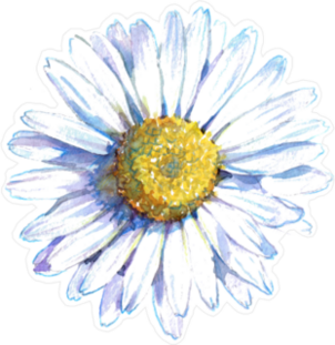 White Daisy Flower Sticker