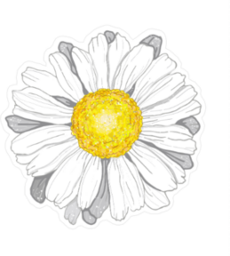 White Daisy Illustration Sticker