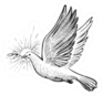 White Dove With Olive Branch And Rays Line Sketch Sticker